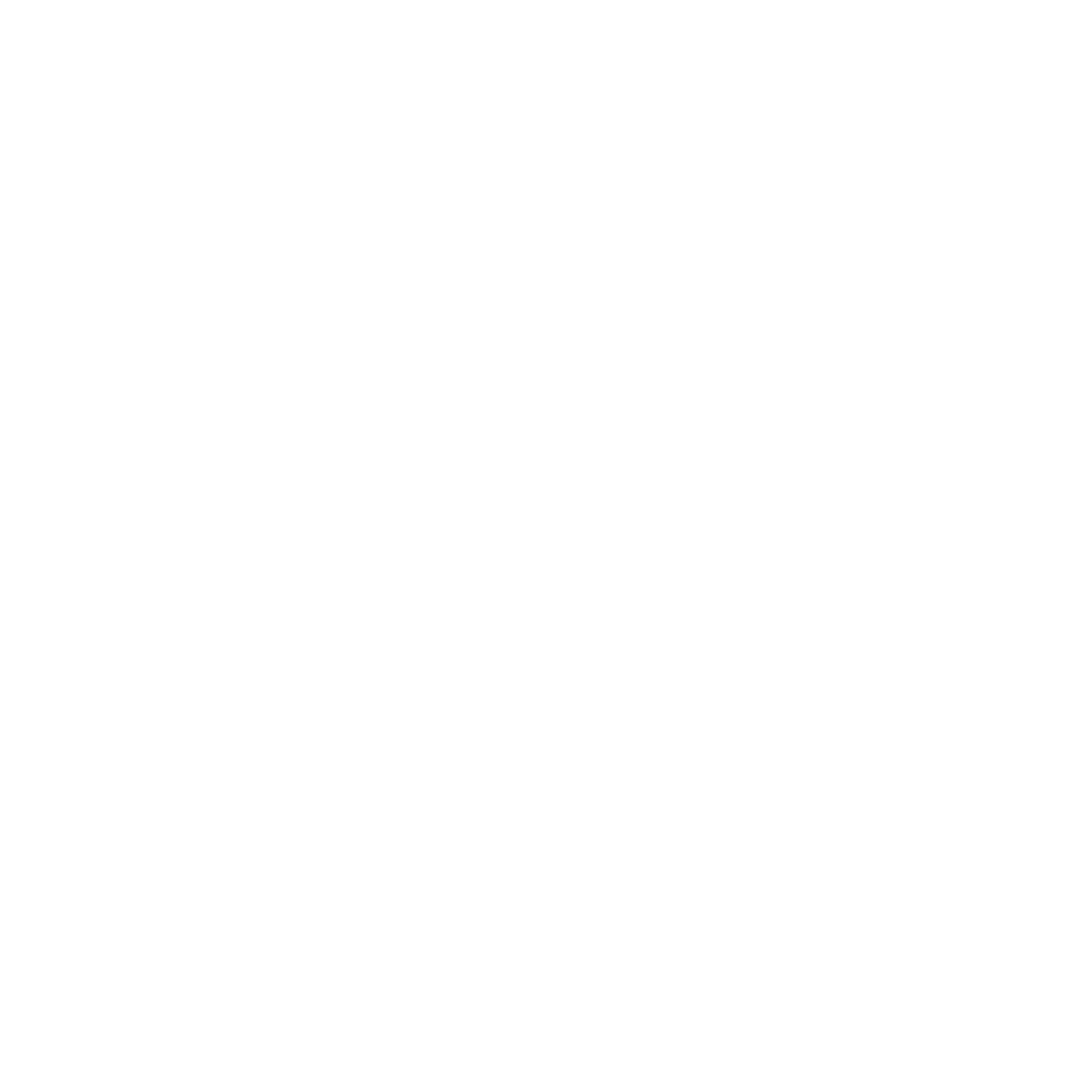 Restrictions Icon