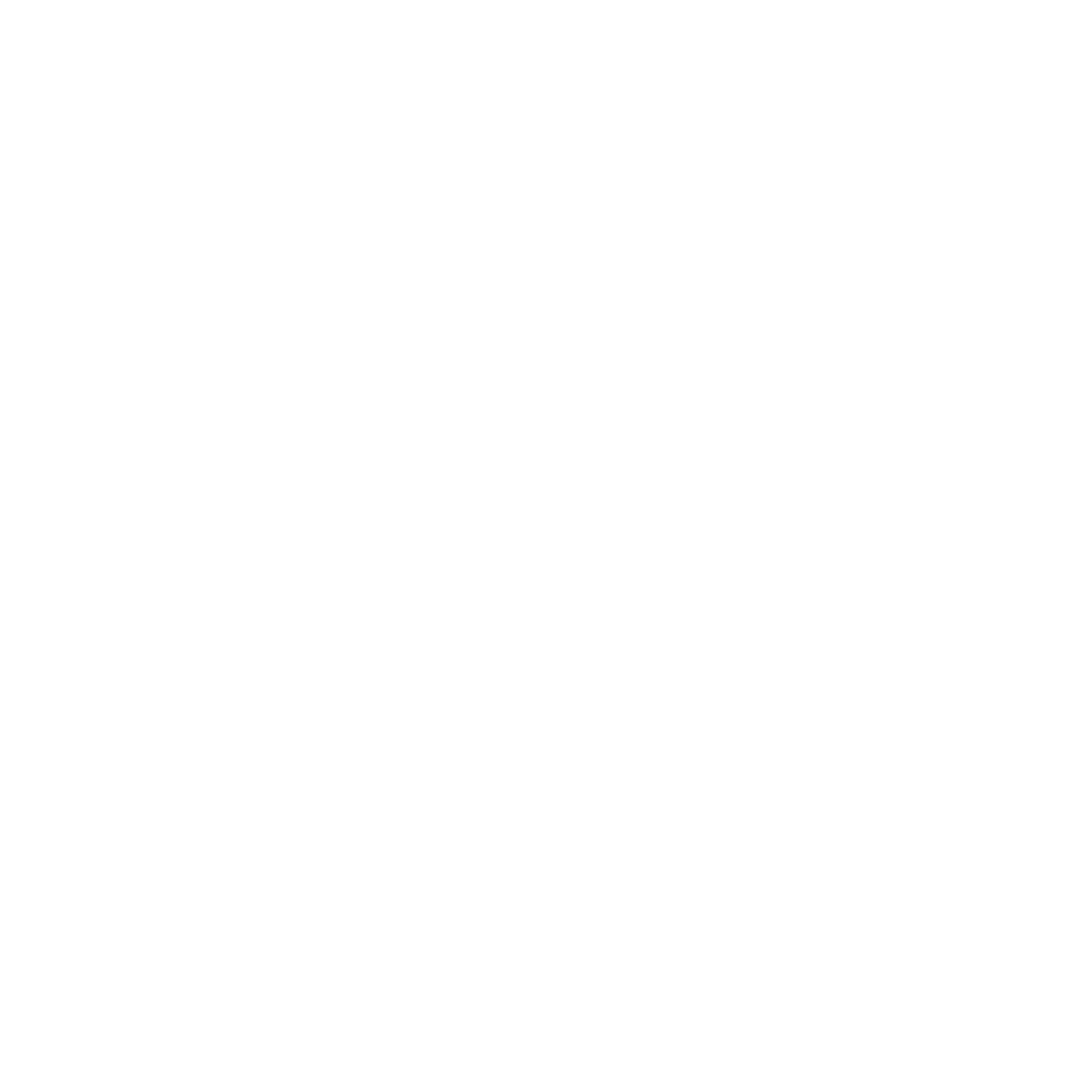 Privileges Icon