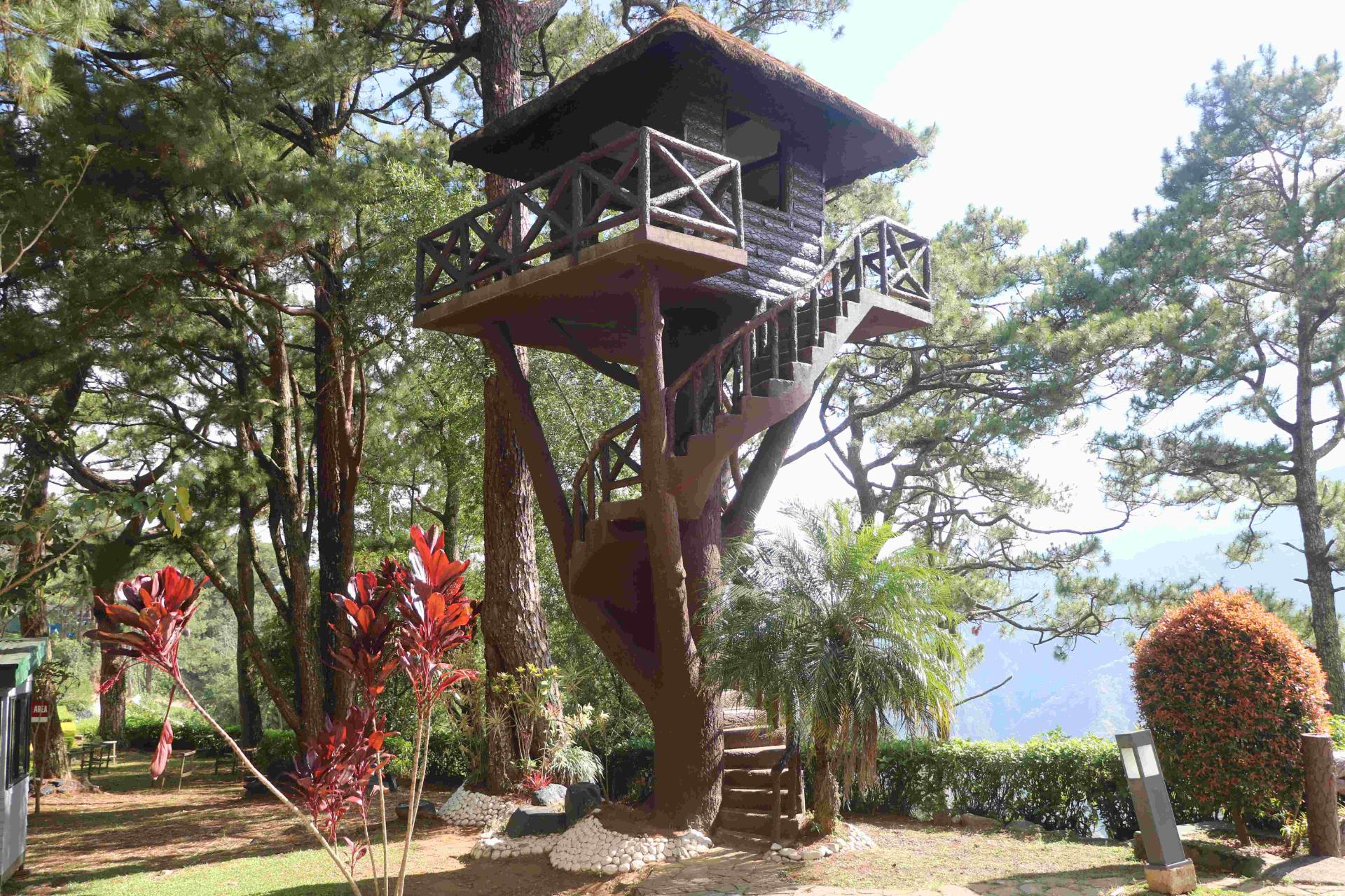 Tree House